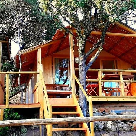 Stazzu La Capretta Farm Camping & Guest Rooms Olbia Bagian luar foto