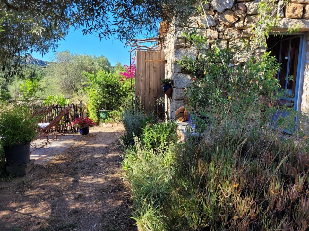 Stazzu La Capretta Farm Camping & Guest Rooms Olbia Bagian luar foto