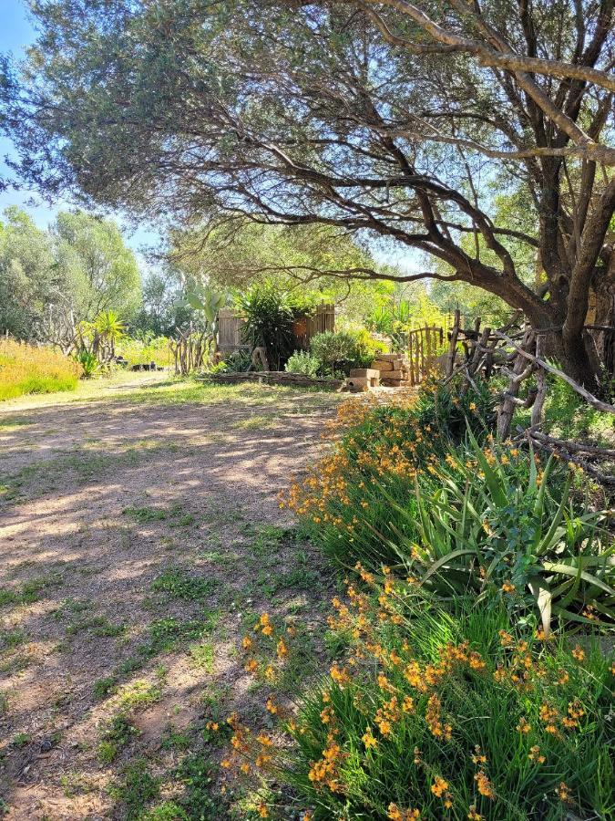 Stazzu La Capretta Farm Camping & Guest Rooms Olbia Bagian luar foto