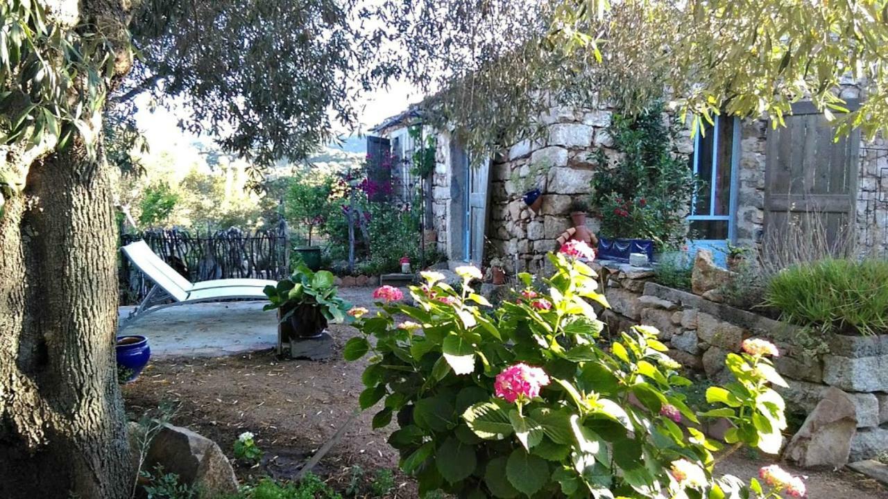 Stazzu La Capretta Farm Camping & Guest Rooms Olbia Bagian luar foto