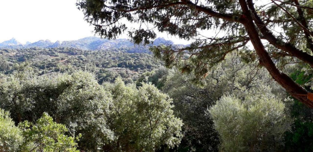 Stazzu La Capretta Farm Camping & Guest Rooms Olbia Bagian luar foto