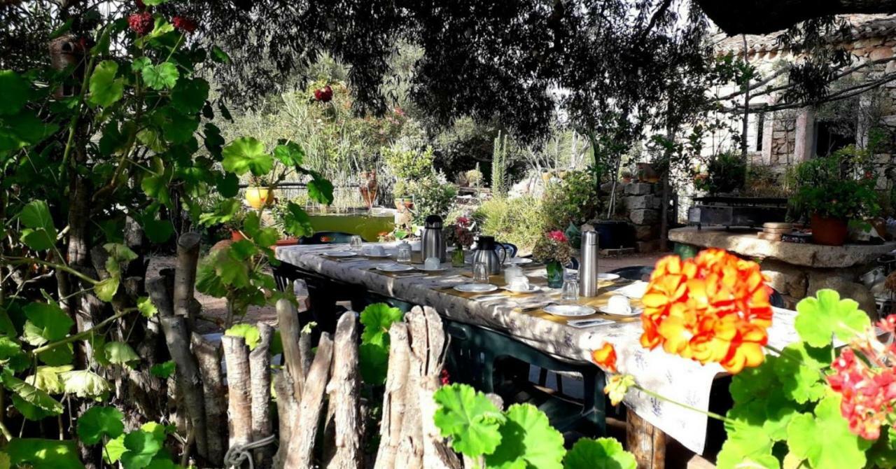 Stazzu La Capretta Farm Camping & Guest Rooms Olbia Bagian luar foto
