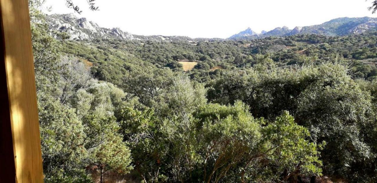 Stazzu La Capretta Farm Camping & Guest Rooms Olbia Bagian luar foto